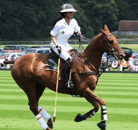 KATIE PRICE AKA JORDAN SNUBBED BY CARTIER AT POLO MATCH WINDSOR 3